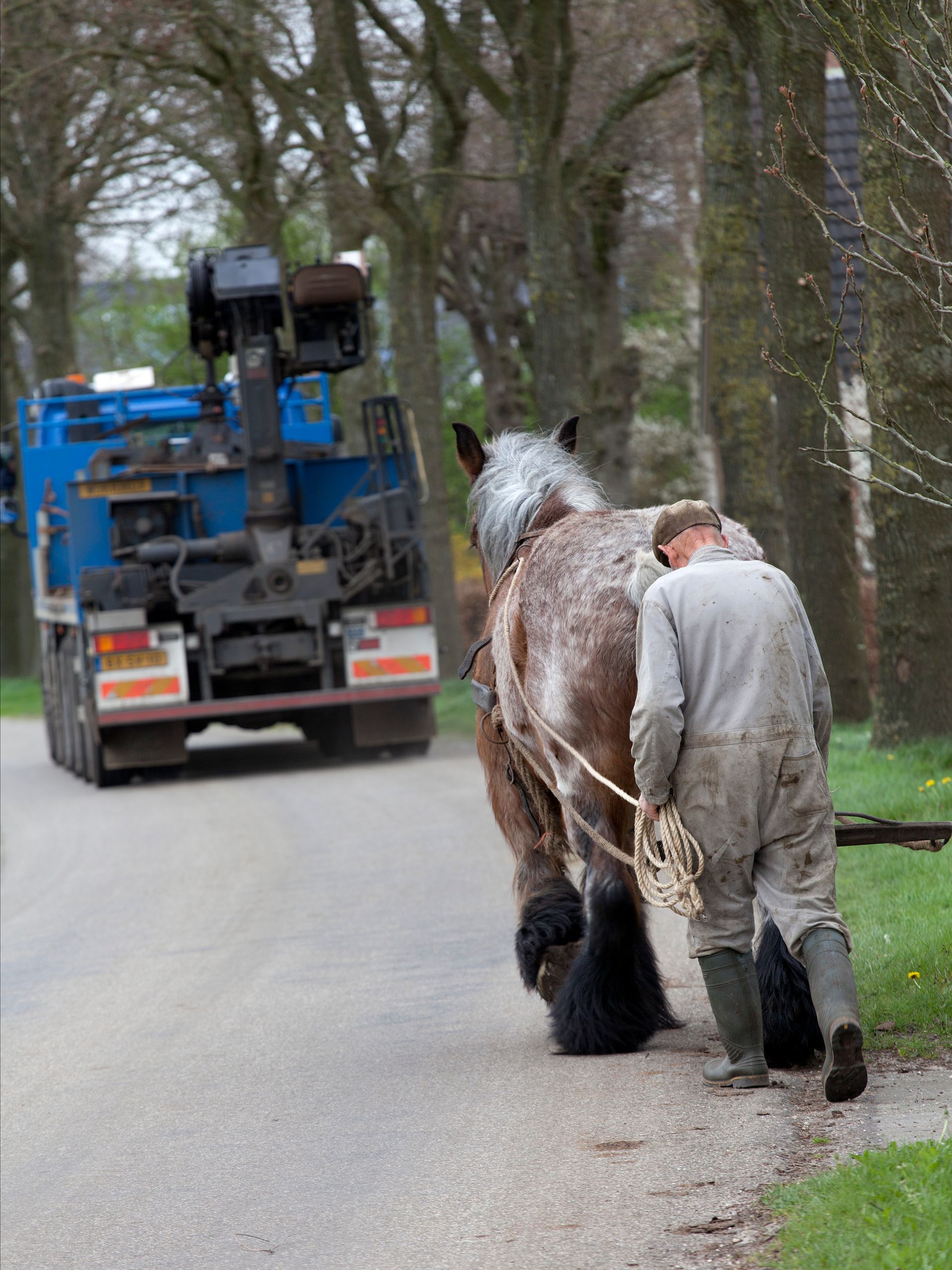 Een man en paard over de weg, met op de achtergrond een vrachtwagen