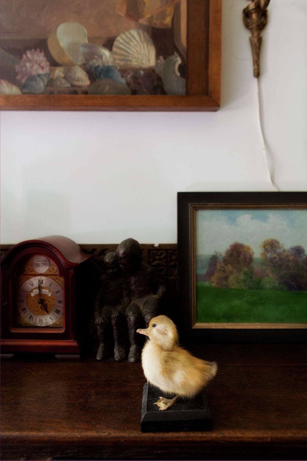 Beeldje van een opgezet eendje in een interieur. Foto Elise Klinkert