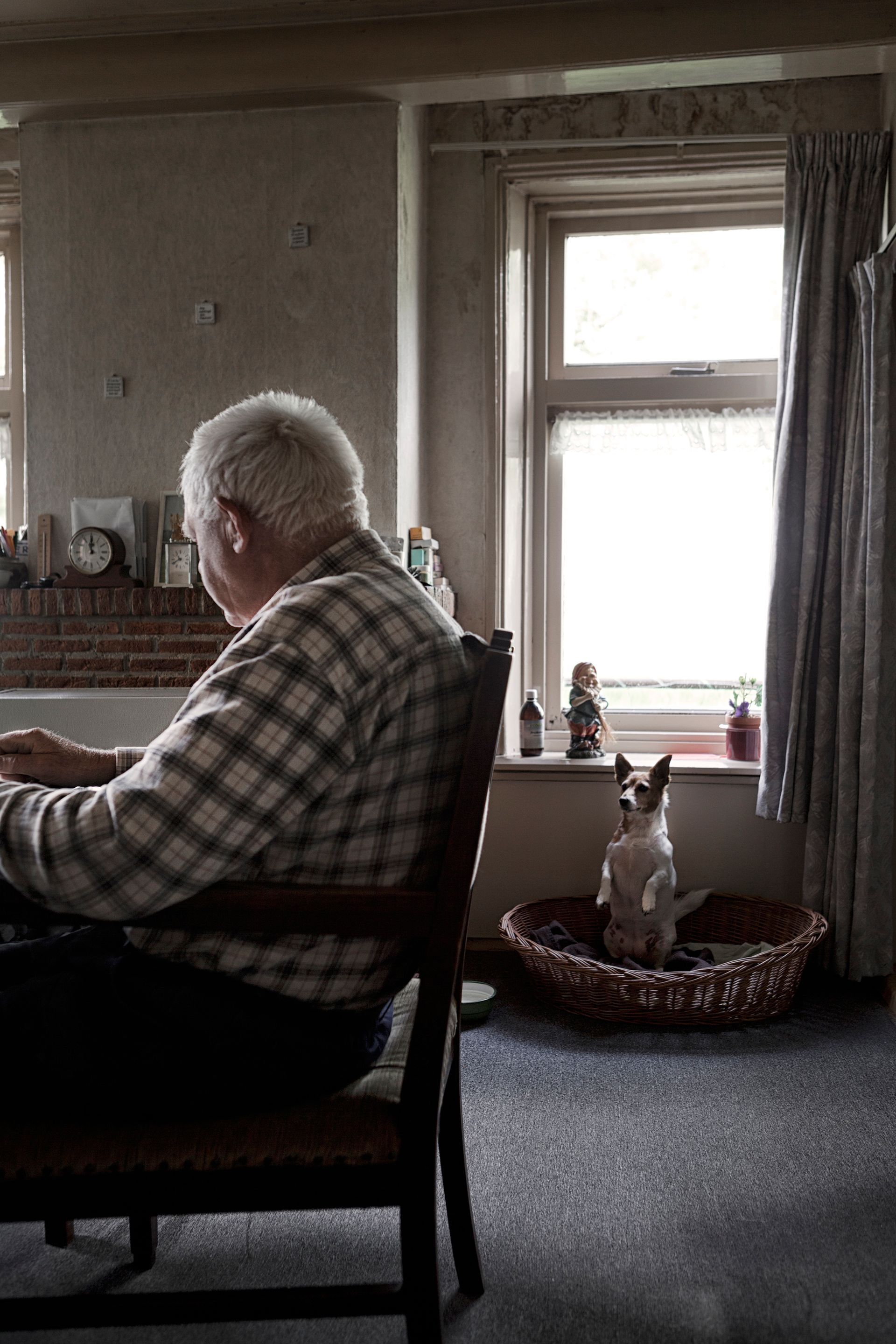Een oudere man in een geruit overhemd zit aan een bureau, terwijl een klein hondje in een mand bij het raam zit.