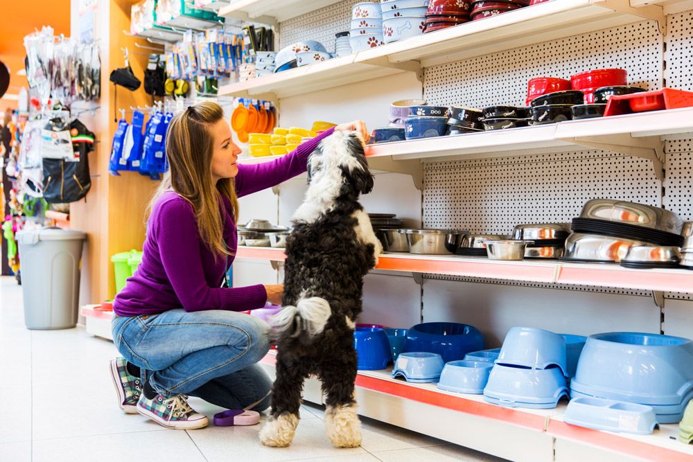 tendencias en los negocios de mascotas, los negocios pet friendly, compra de mascotas, inversión en