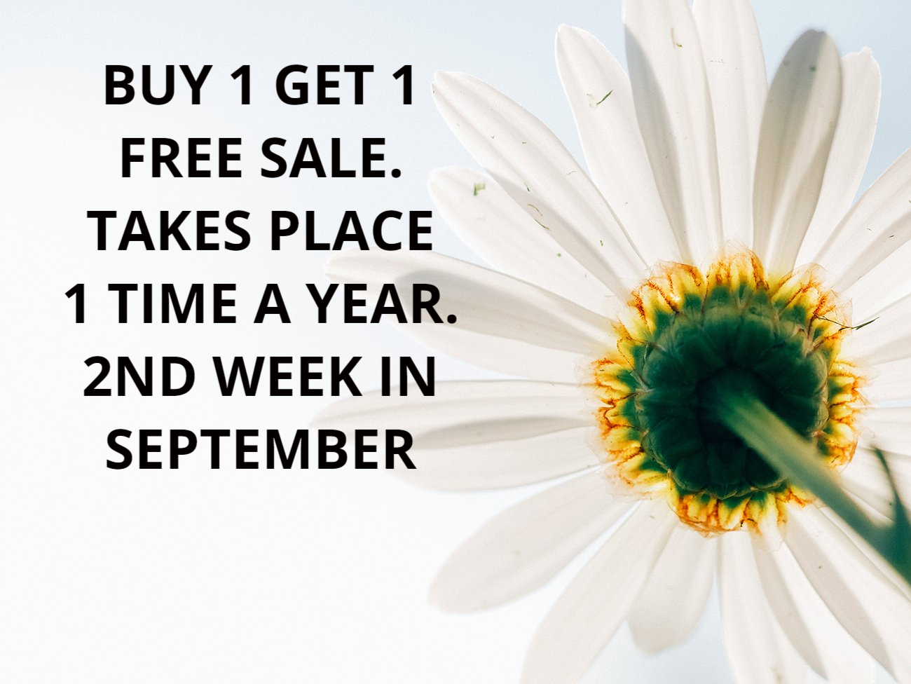 sept special