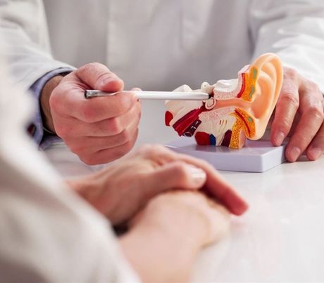 Hands pointing to a colorful anatomical ear model during a medical consultation