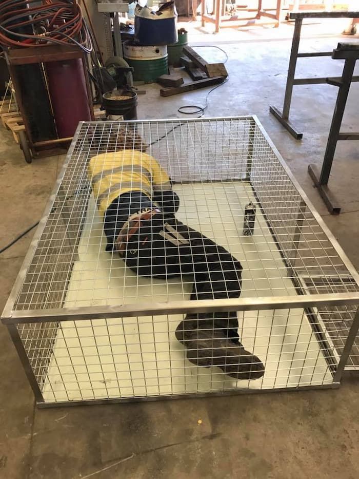 A Man Laying Down in a Metal Cage — Hardarc Engineering in Coolum Beach, QLD