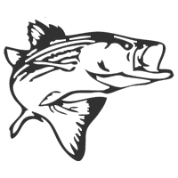 A Salt Water Fish Icon