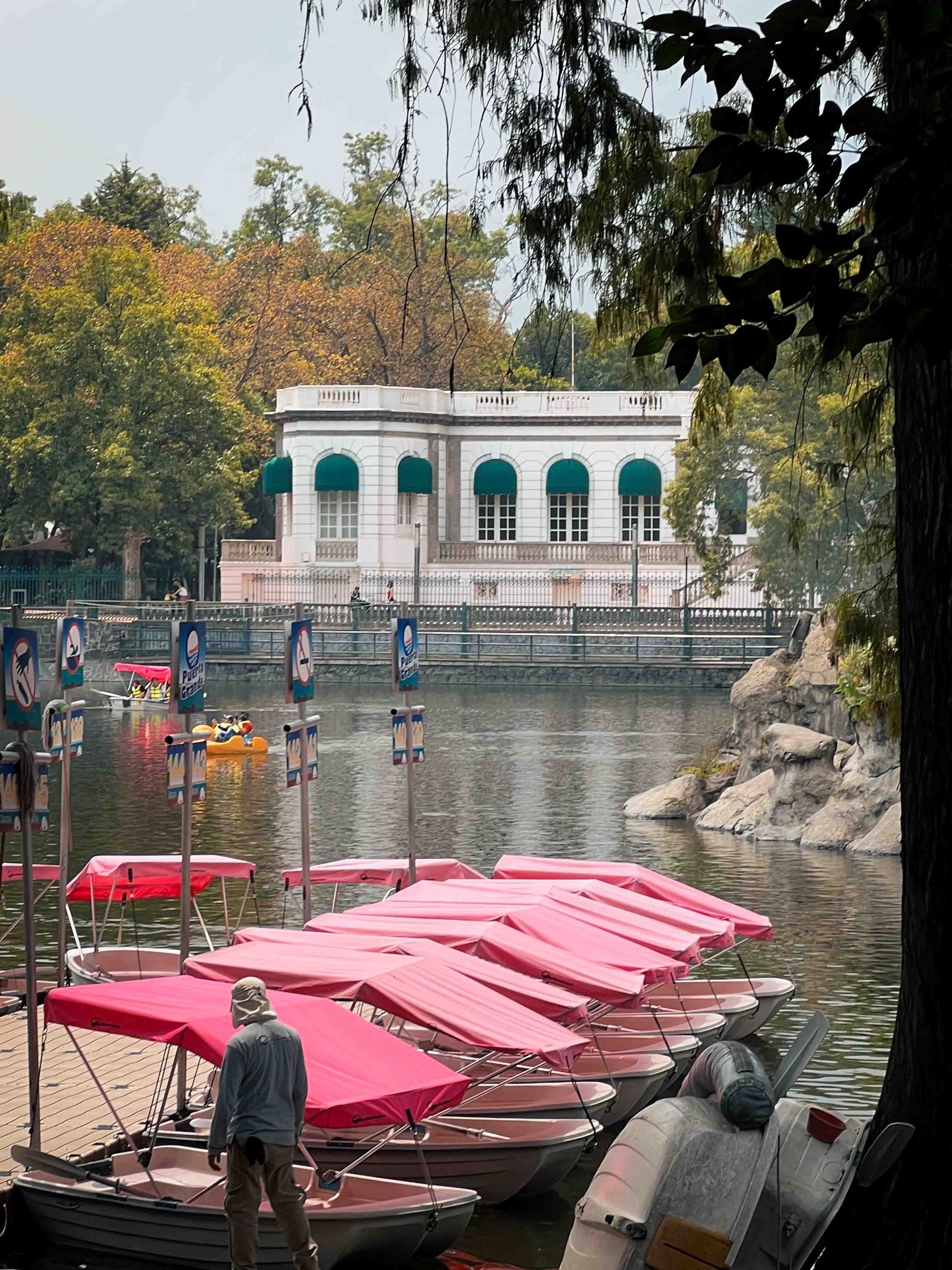 A row of pink boats are docked in a lake