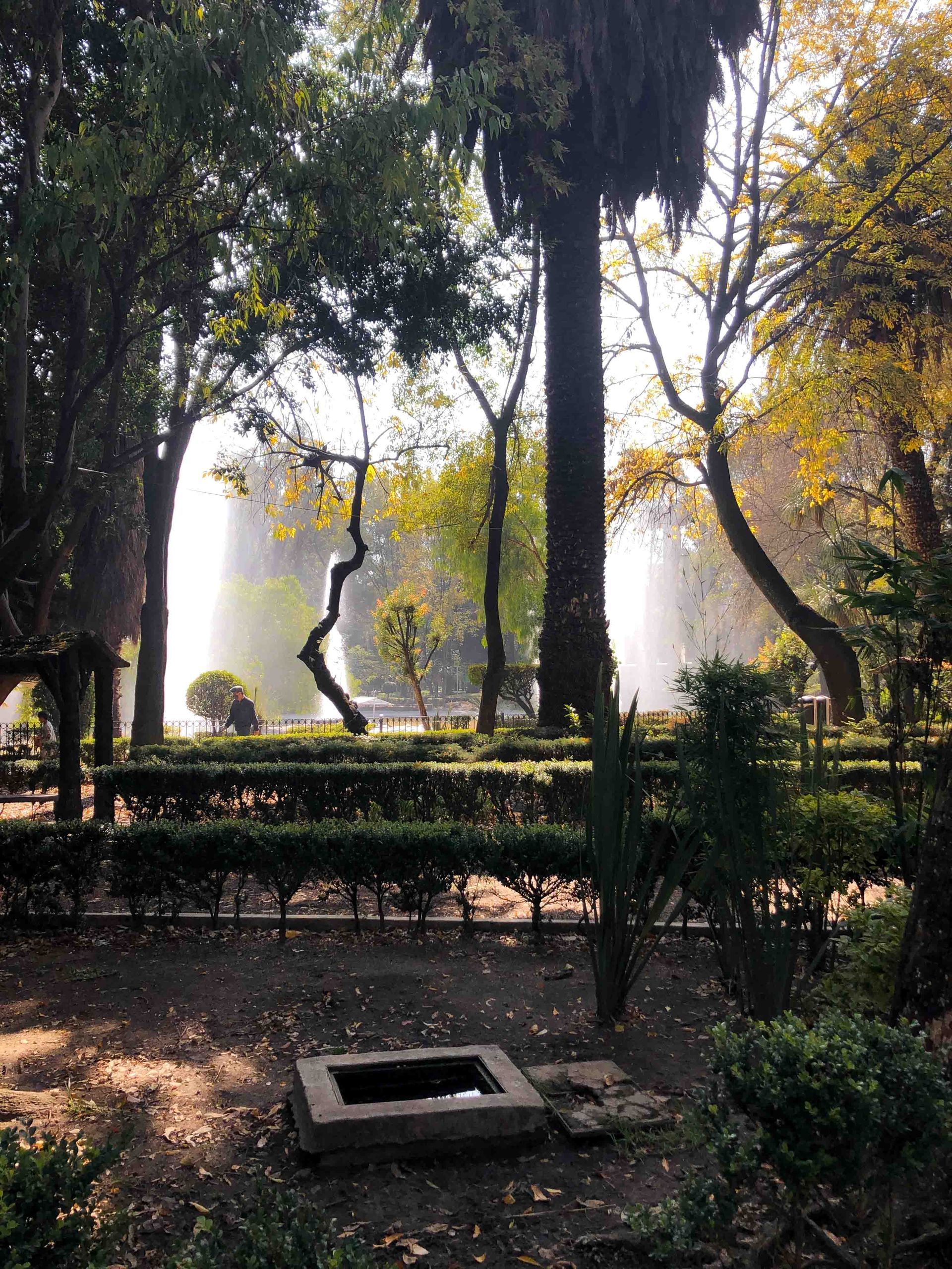 Park in Mexico City