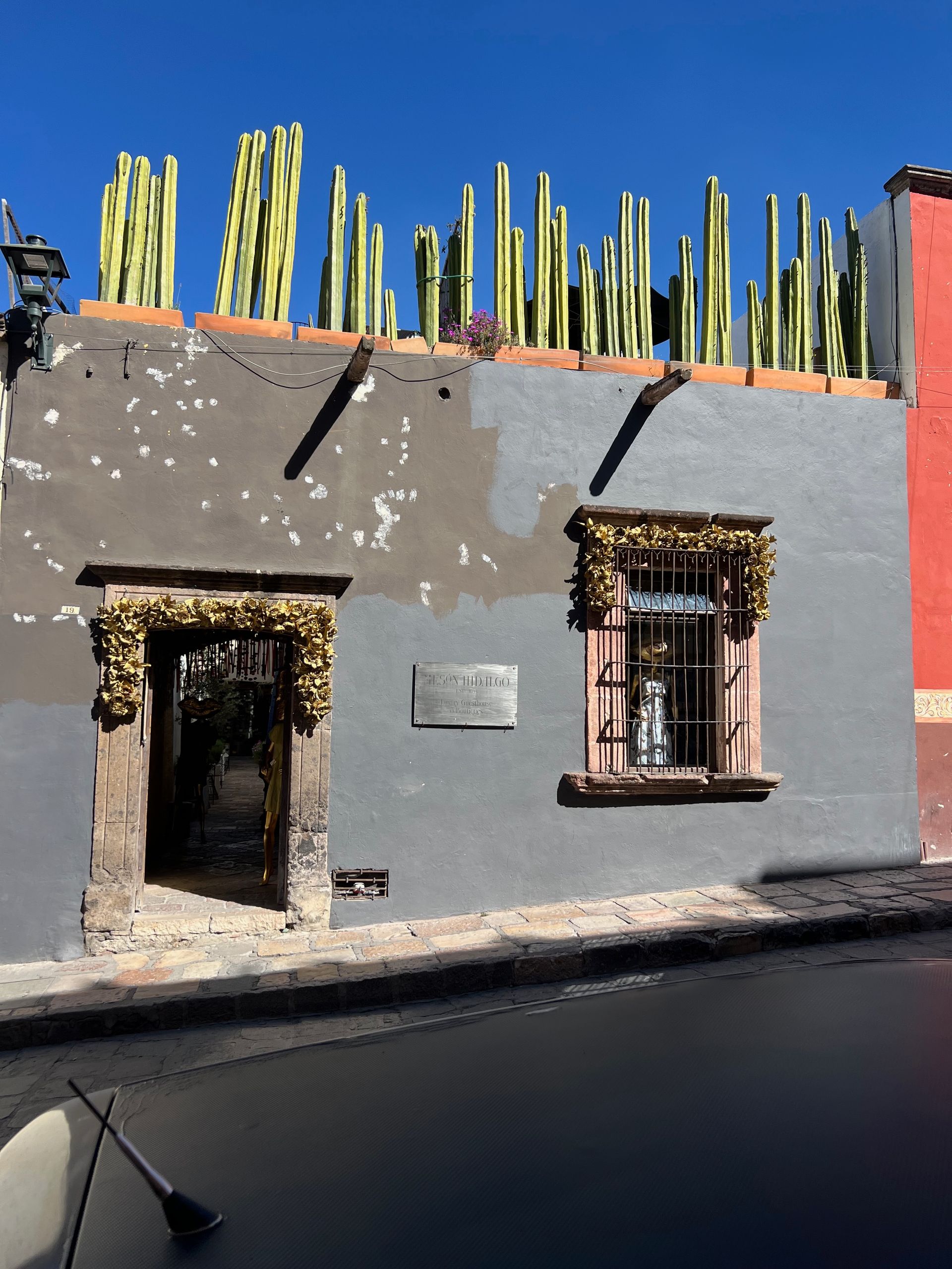 A building with cactus growing on top of it