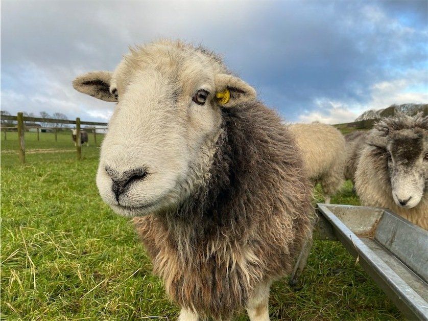 A year in the country - Country Living