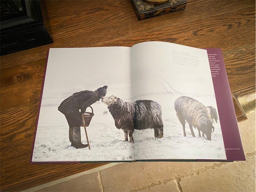 The Living Rug Company A Year in the Country