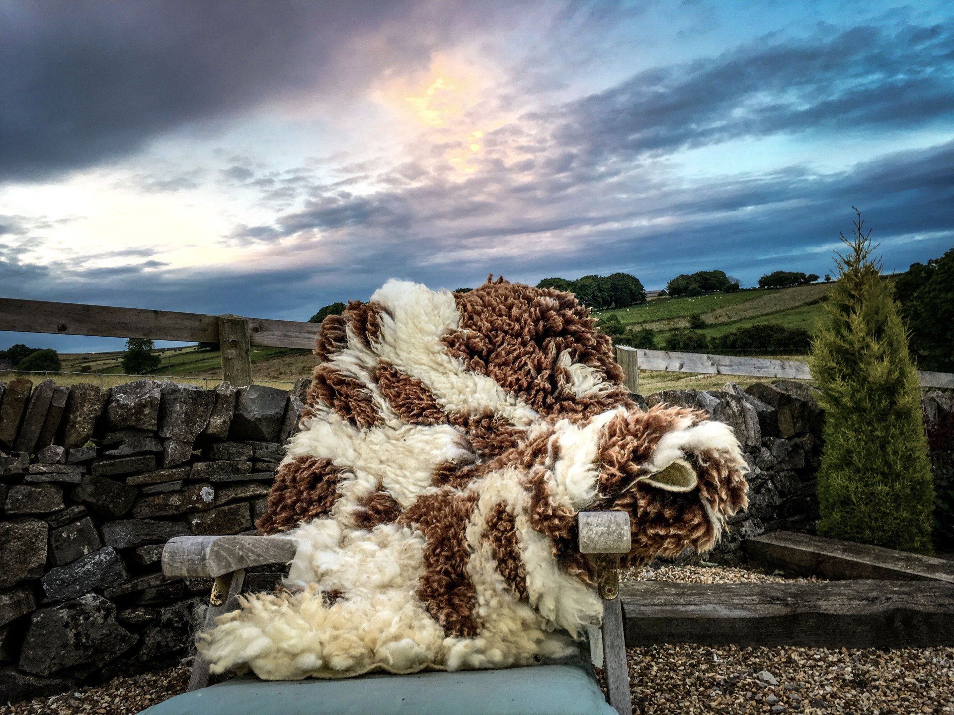 Living Jacob Fleece Rug Handmade felted sheepskin made by The Living Rug Company