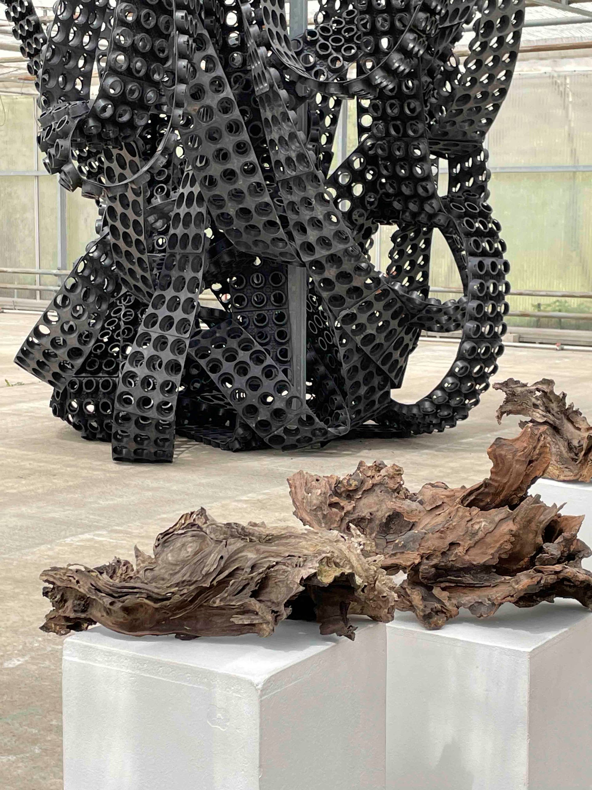 else!³ Treibhaus – Kunstausstellungen 2023