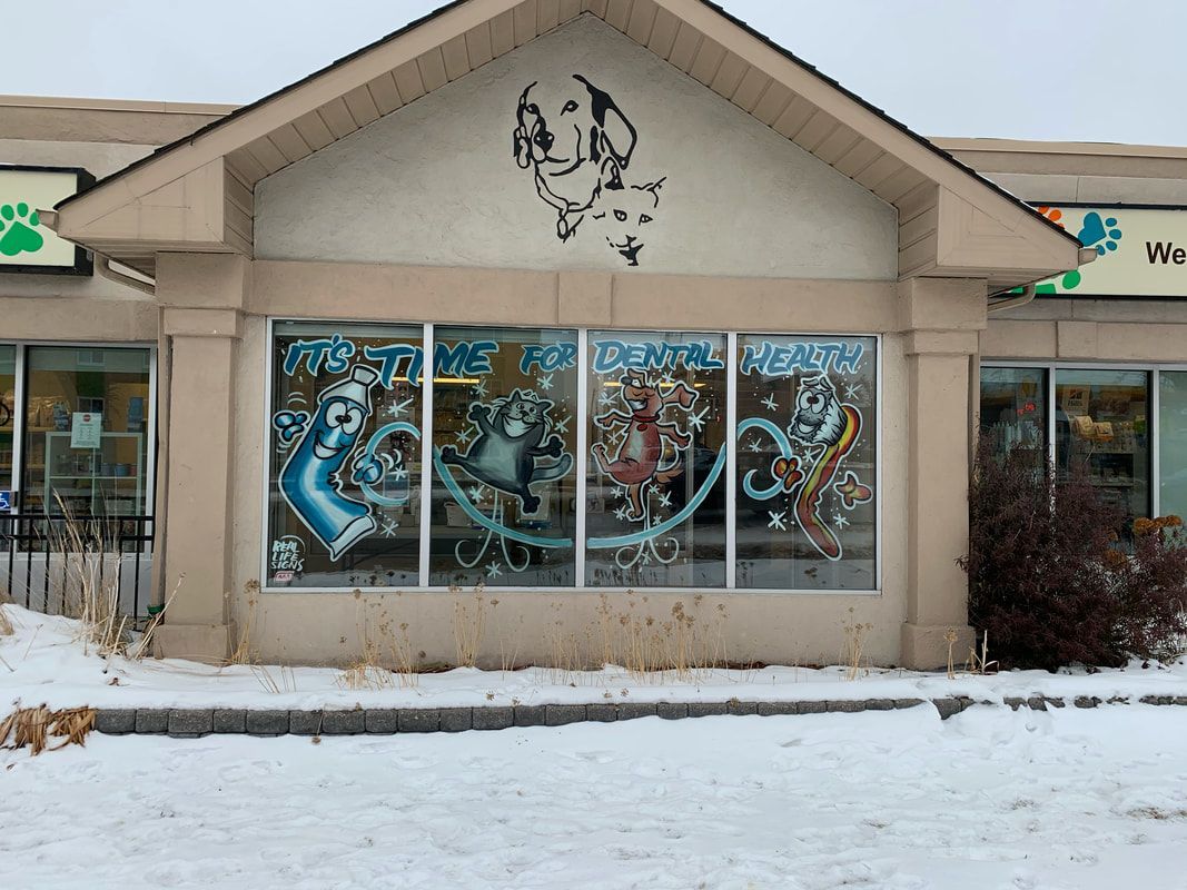 A dog is painted on the side of a building.