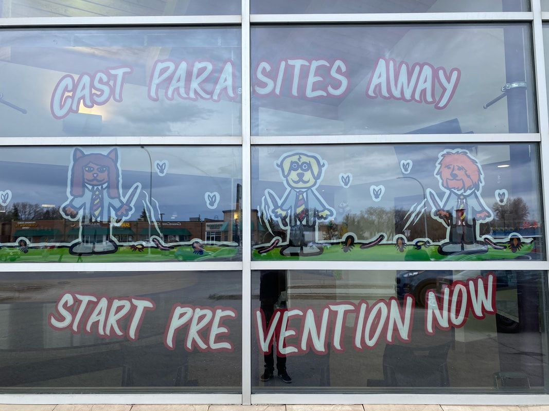 A window with drawings on it that says `` gast parasites away '' and `` start prevention now ''.