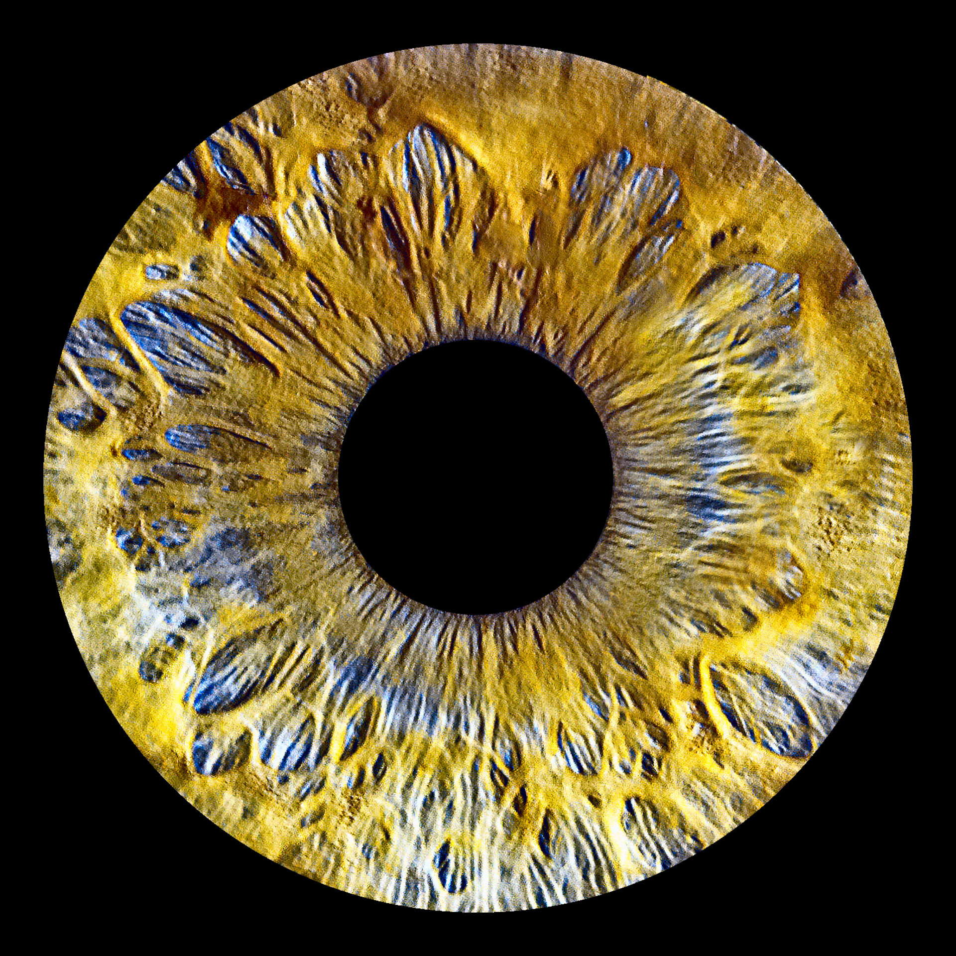 Irisfoto ADR