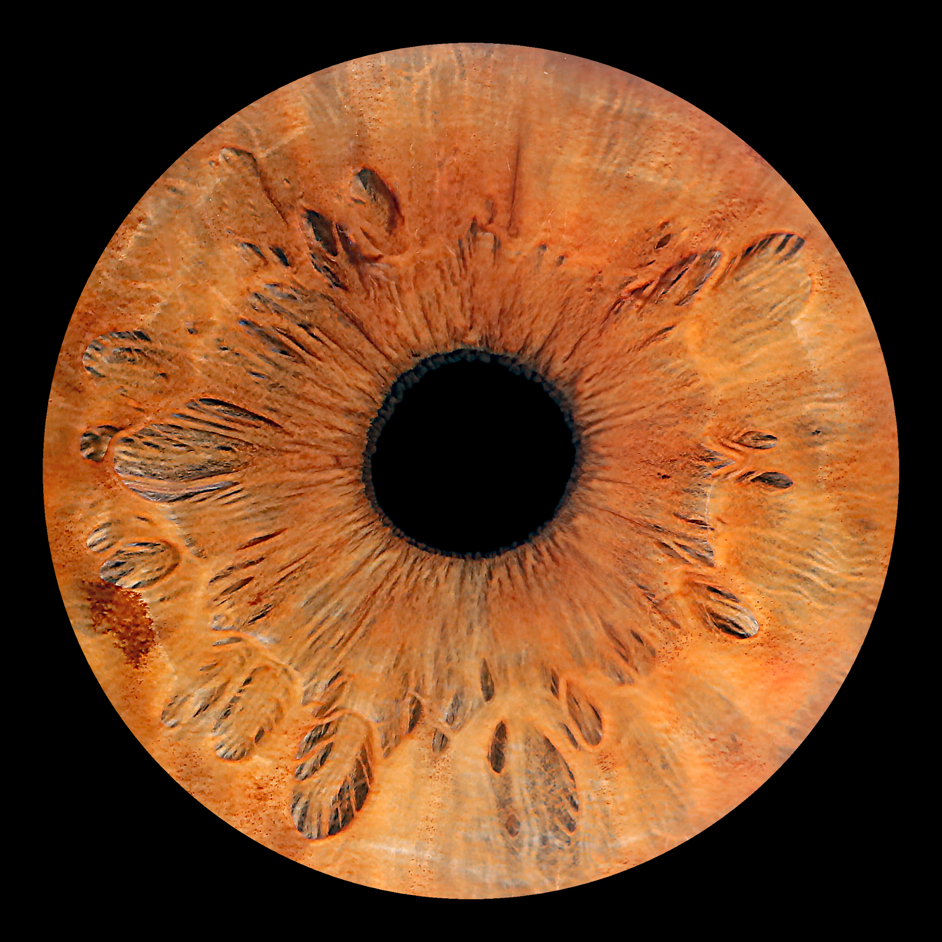 Irisfoto ADR