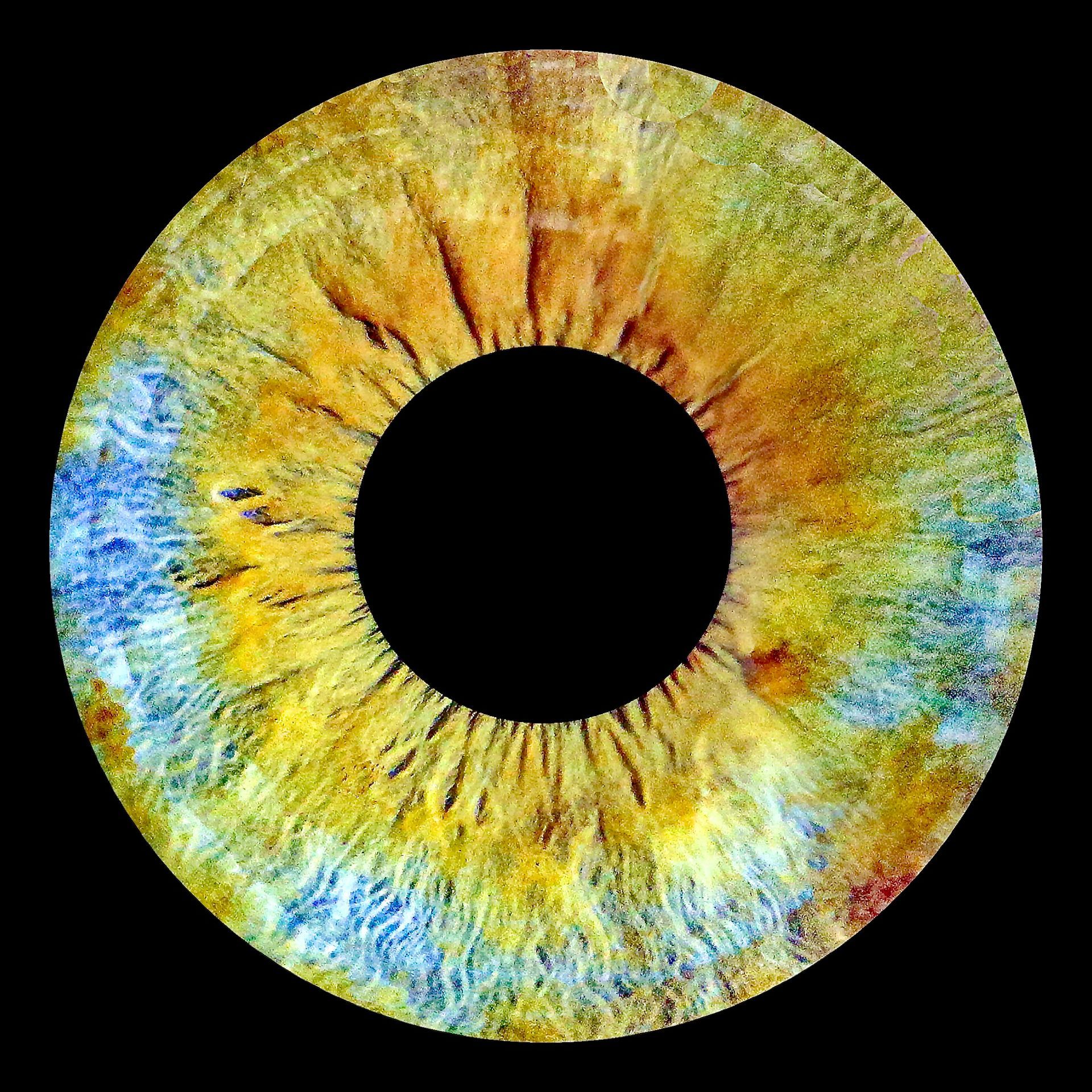 Irisfoto EDR