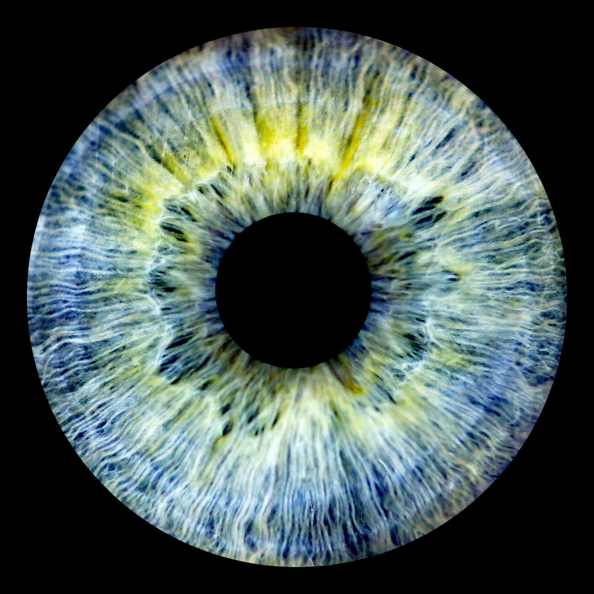 Irisfoto GDR