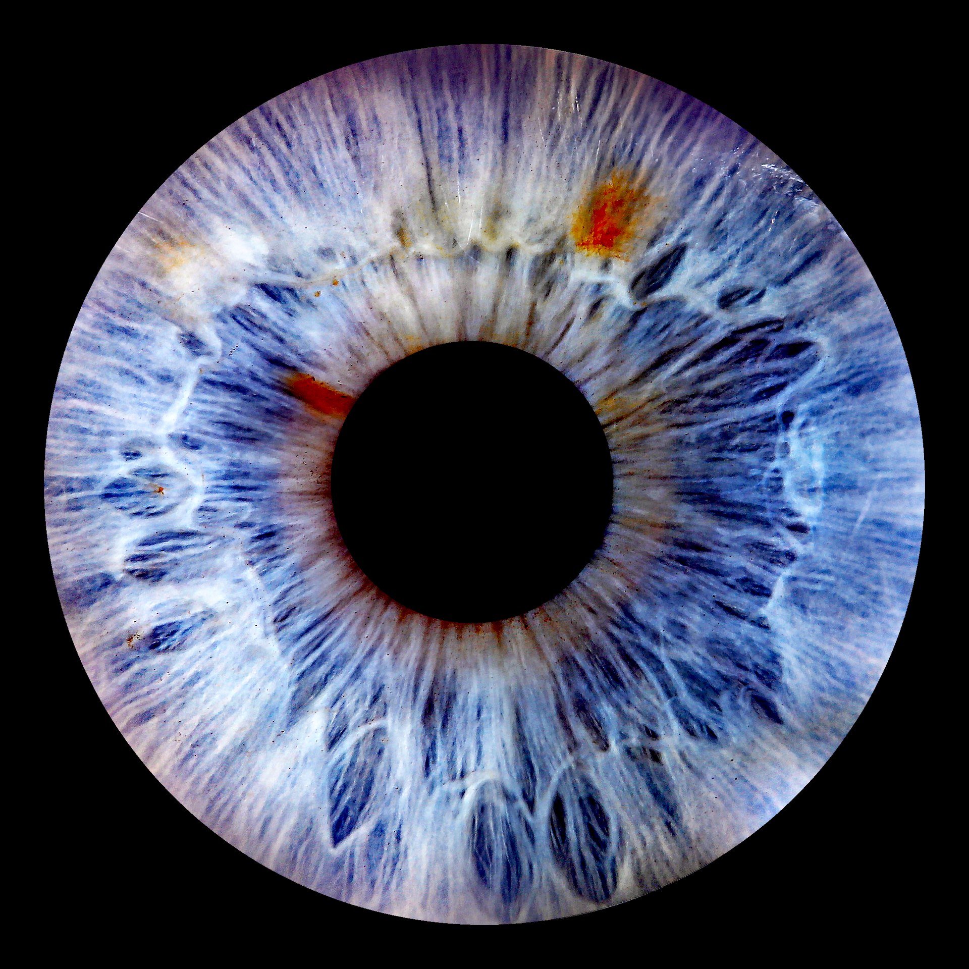 Irisfoto JDL