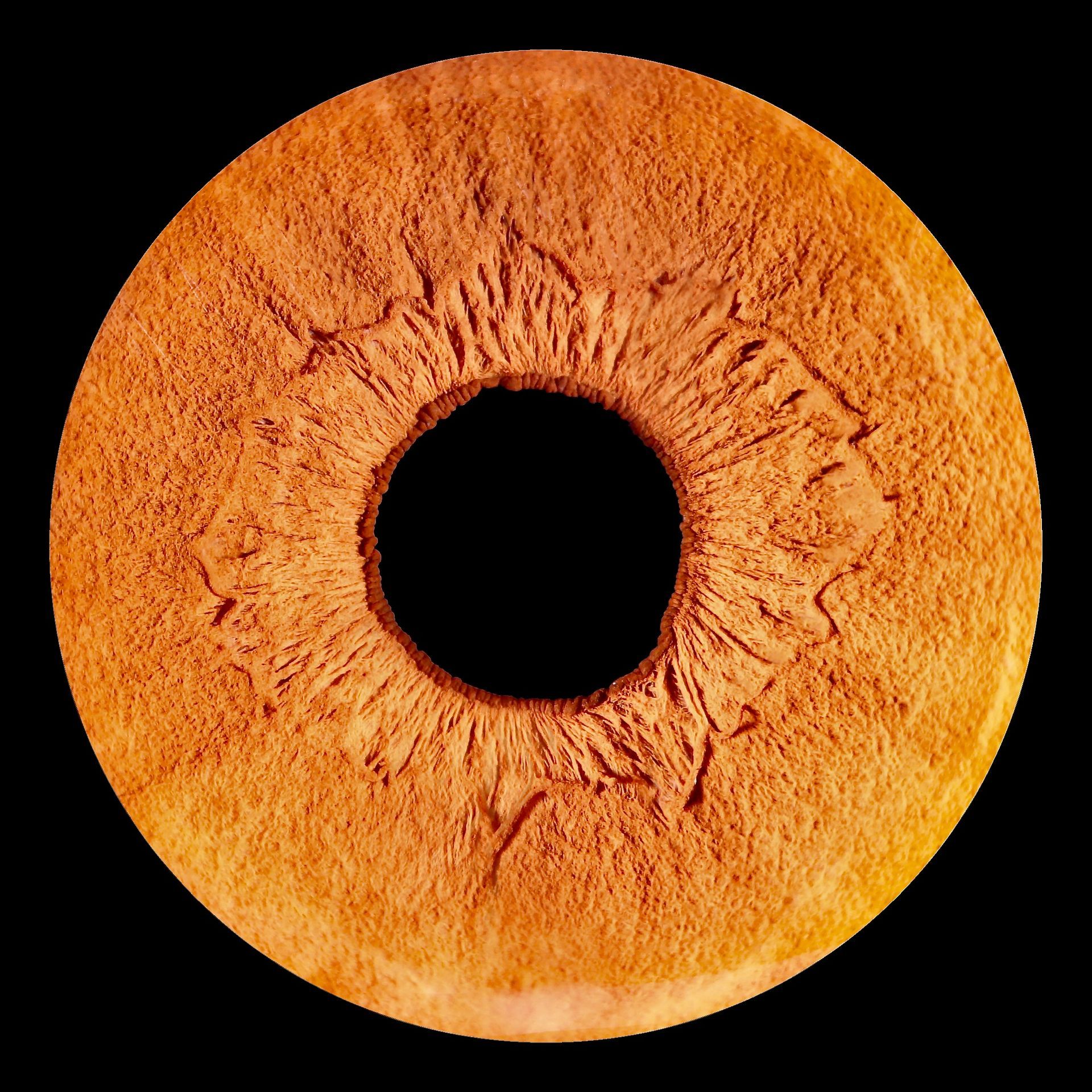Irisfoto