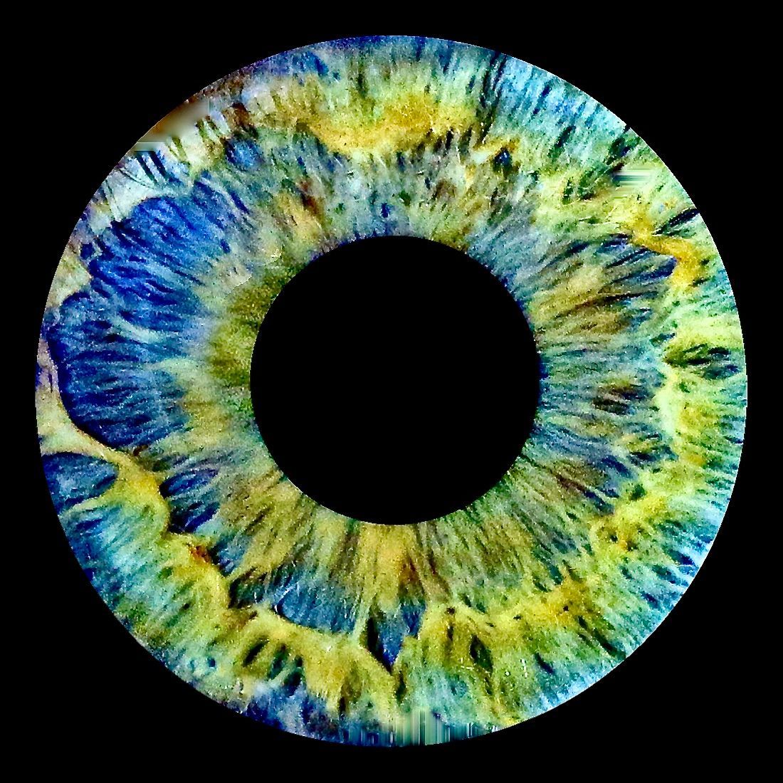 Irisfoto SKL