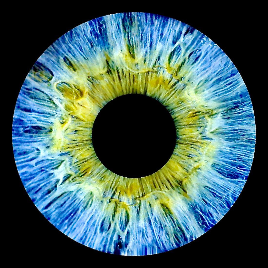 Irisfoto WDR