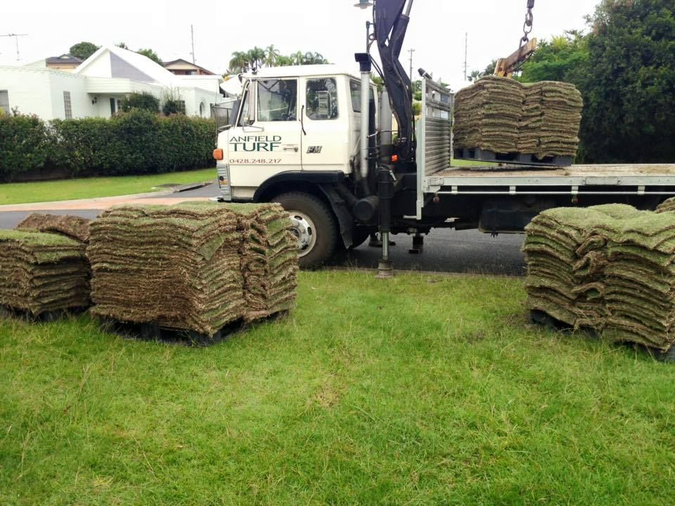 Turf Delivery in Mid North Coast Anfield Turf