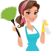 The Cleaning Ladies
