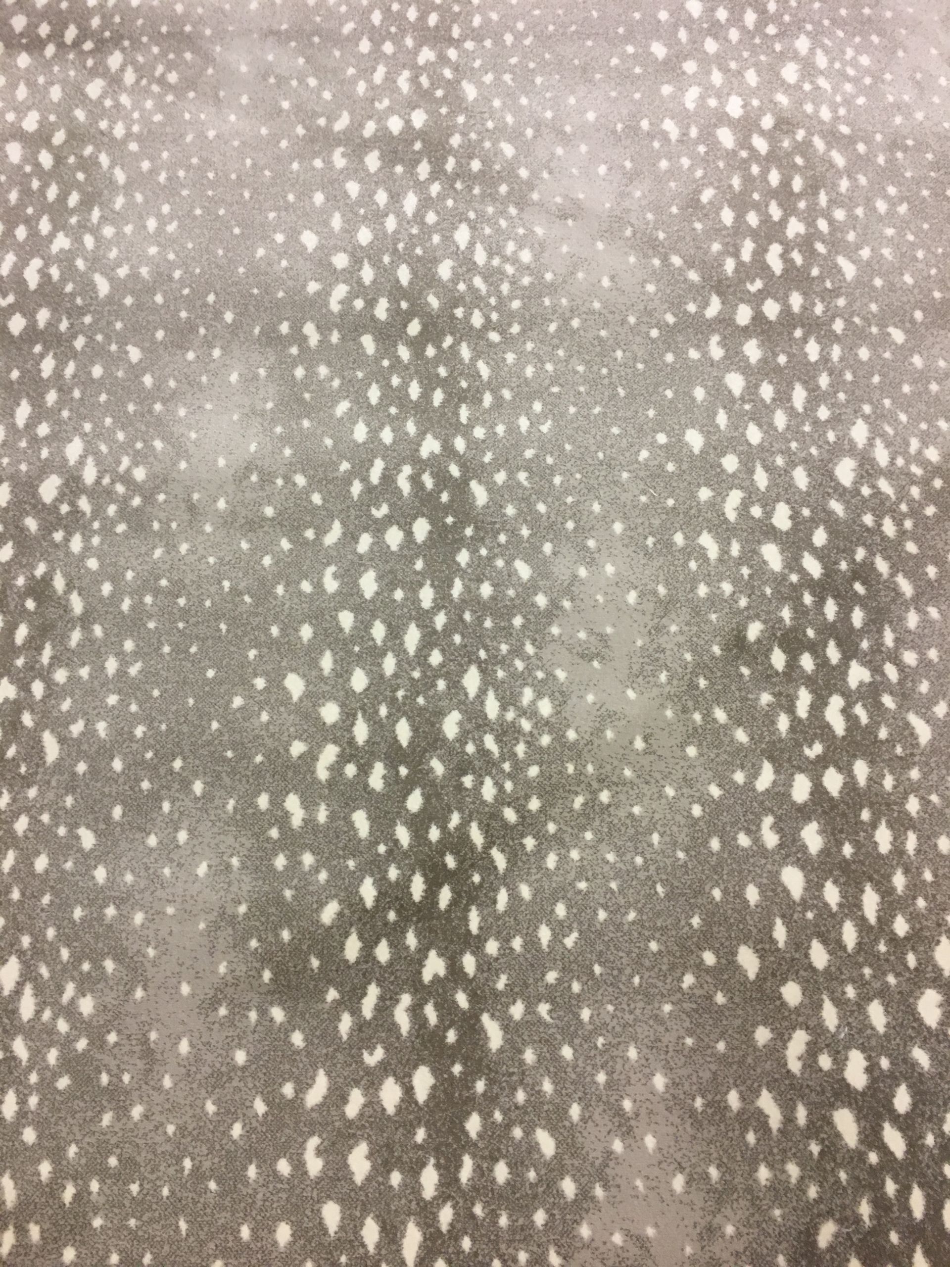 Animal Print carpet