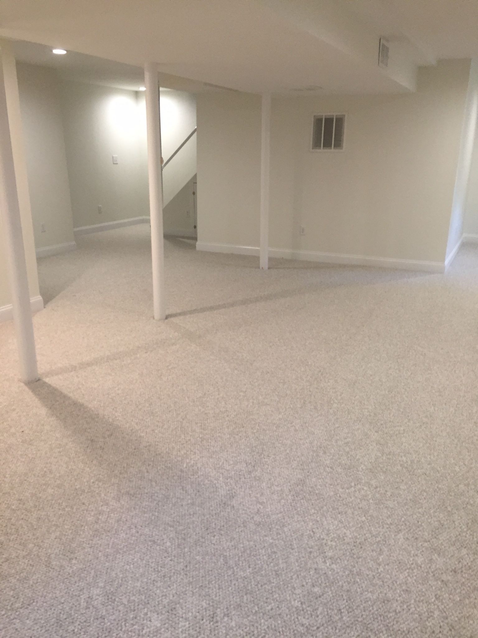 Carpet