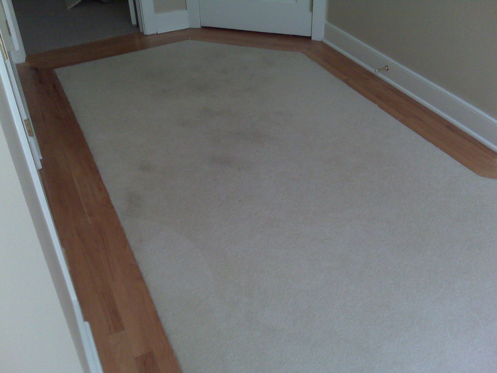 Custom Area Rug