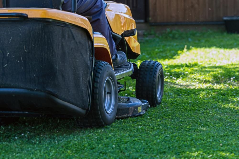 Man is Riding a Lawn Mower on a Lush Green Lawn — Active Cleaning Service Raymond Terrace, NSW