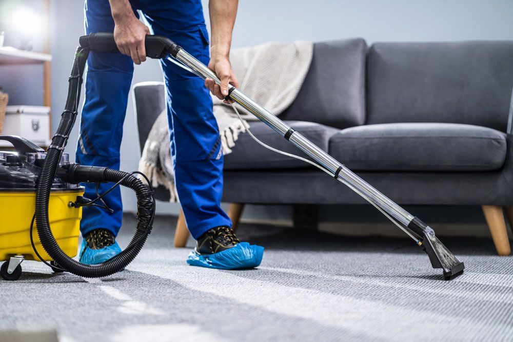 A Cleaner In Maitland Cleaning A Carpet