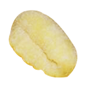 Gnocchi di patate