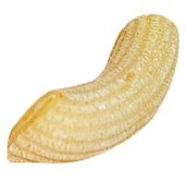 Pasta corta