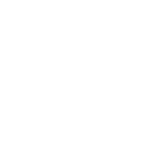 Nuova G.R.P. s.r.l. logo