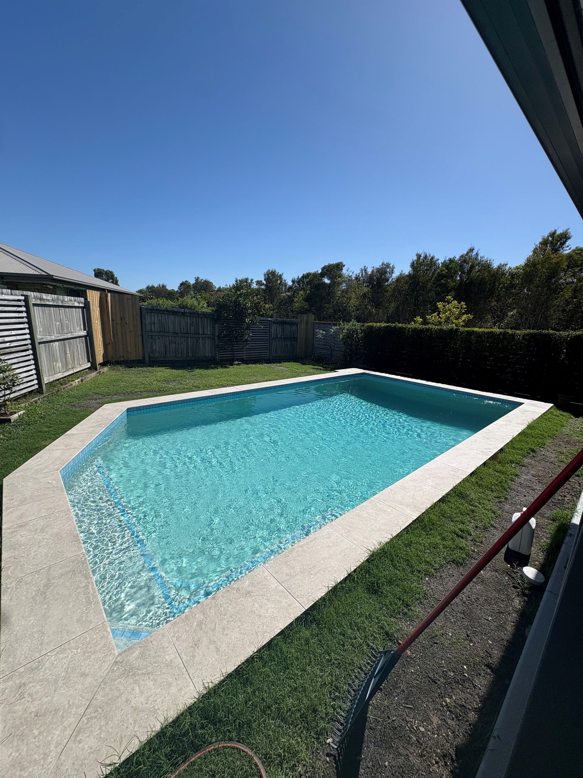 Backyard swimming pool with turquoise water beside a wooden fence and hedge under a clear blue sky