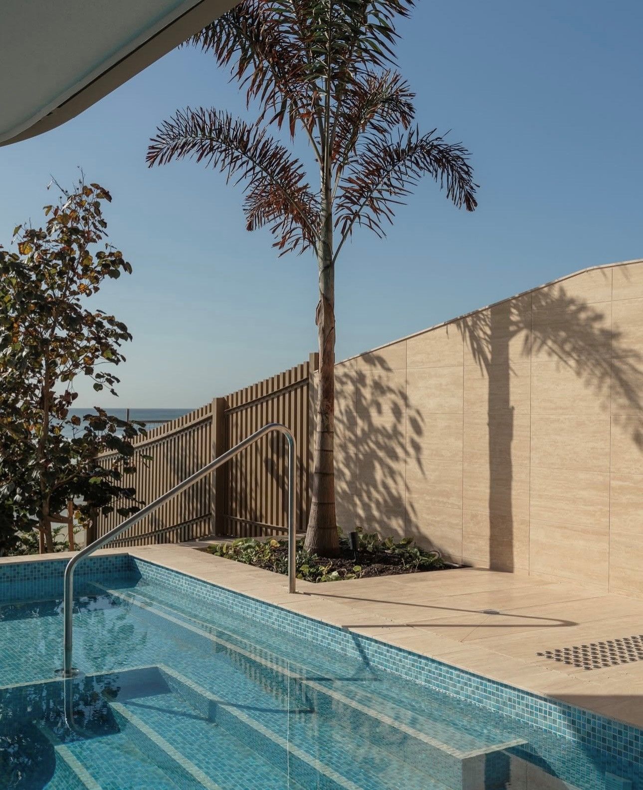 Backyard pool with turquoise water, palm tree, and beige wall in bright sunlight