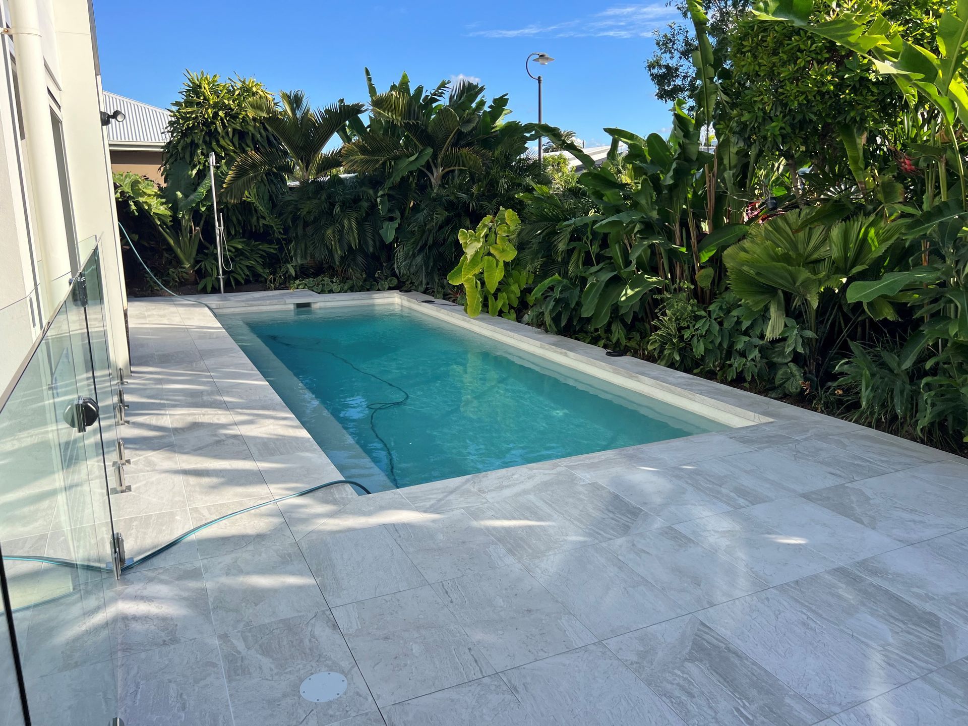 Modern backyard pool with blue water, white stone deck, and lush tropical plants under a clear sky