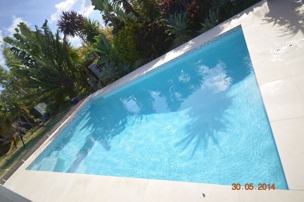 Outdoor swimming pool with clear blue water, white tiles, and palm trees reflected on the surface