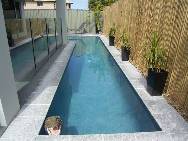 Narrow blue lap pool beside a glass wall and bamboo fence, with potted plants along the edge