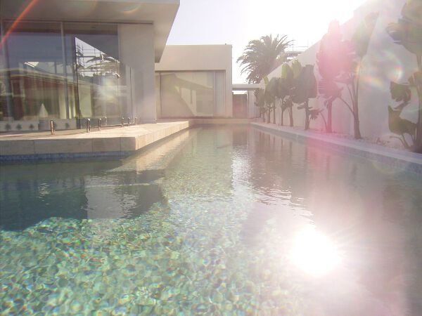 Modern pool courtyard with glass building, palm trees, and bright sun reflection on water