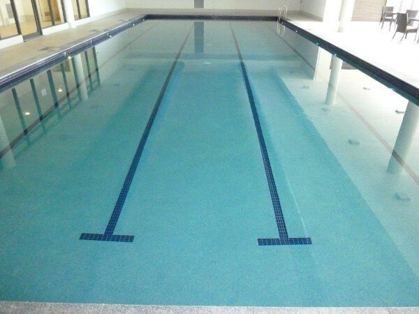 Empty indoor swimming pool with blue lanes and clear water