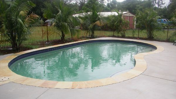 Backyard swimming pool with curved beige deck, surrounded by palm trees and a fence