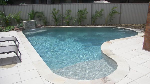 Backyard swimming pool with a curved shallow shelf, lounge chairs, and palm plants along a fence.