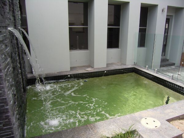 Small courtyard pool with green water and a waterfall beside white building walls