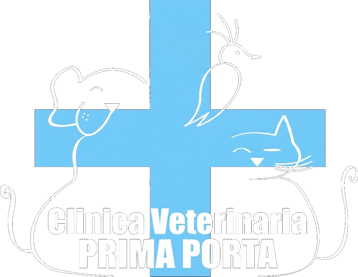 Croce veterinaria blu con un leggero contorno di animale e la scritta bianca 