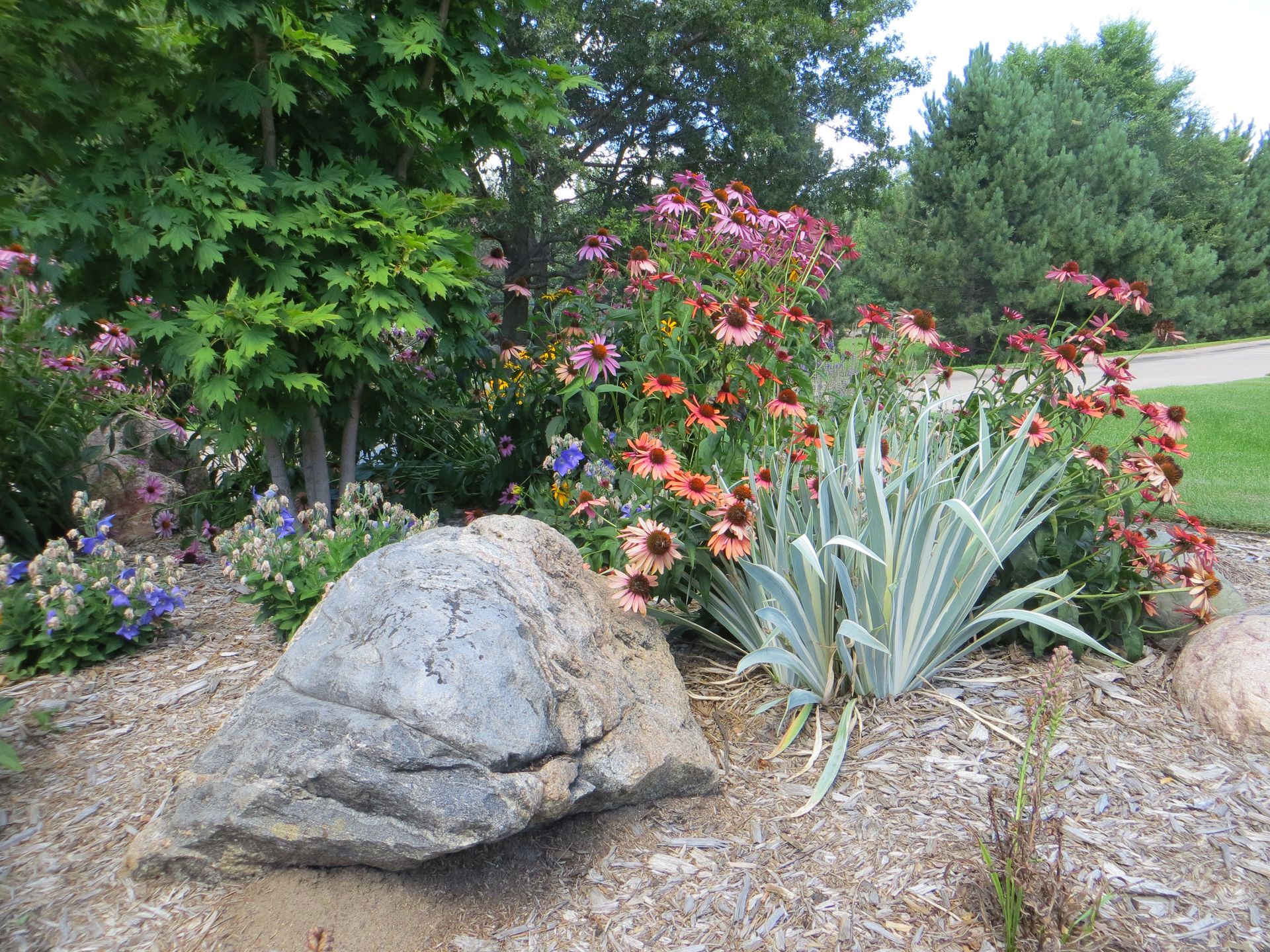 Vibrant Softscaping | Shades of Green Landscaping