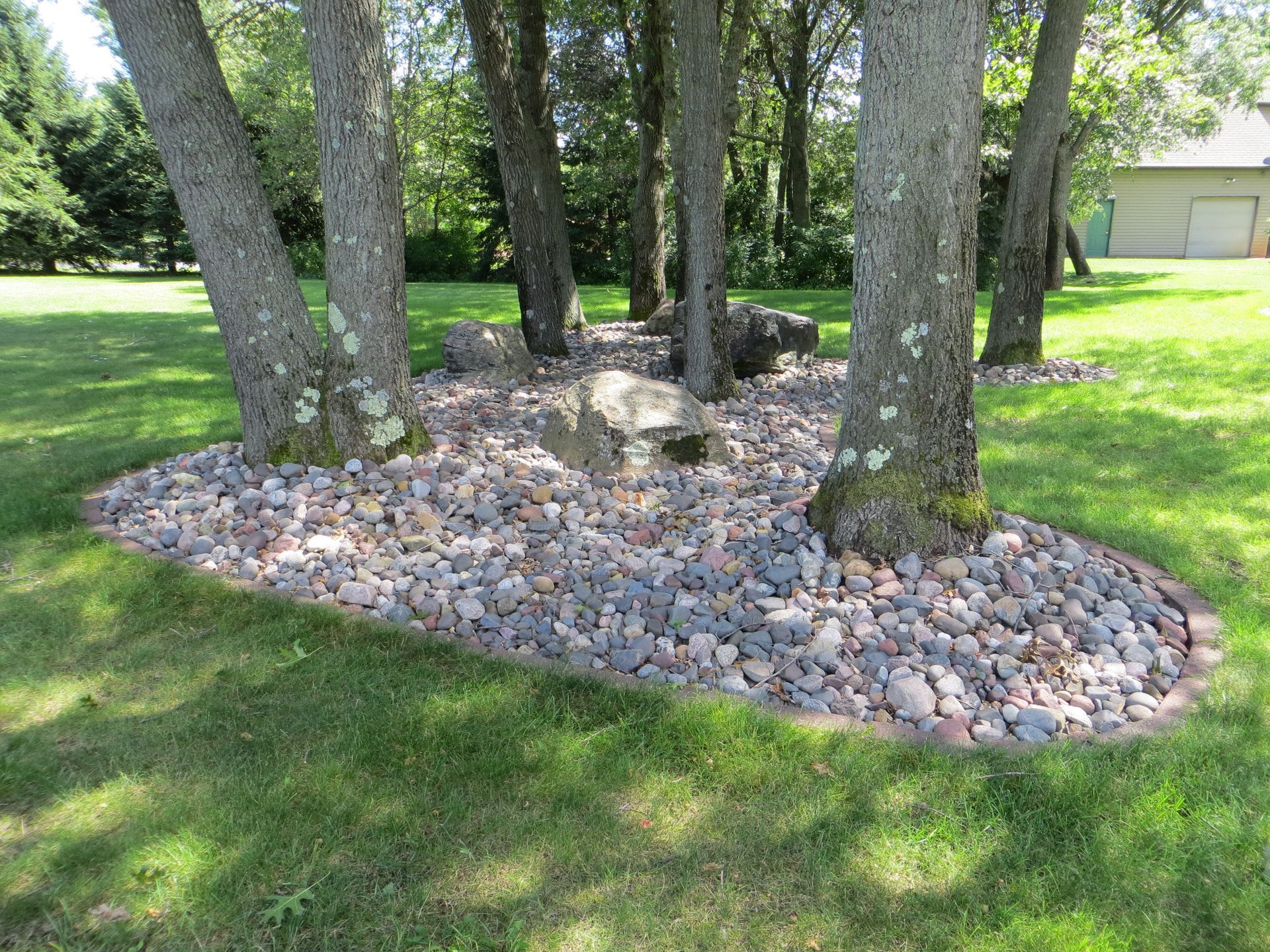 Several trees surrounded by a rock garden. 