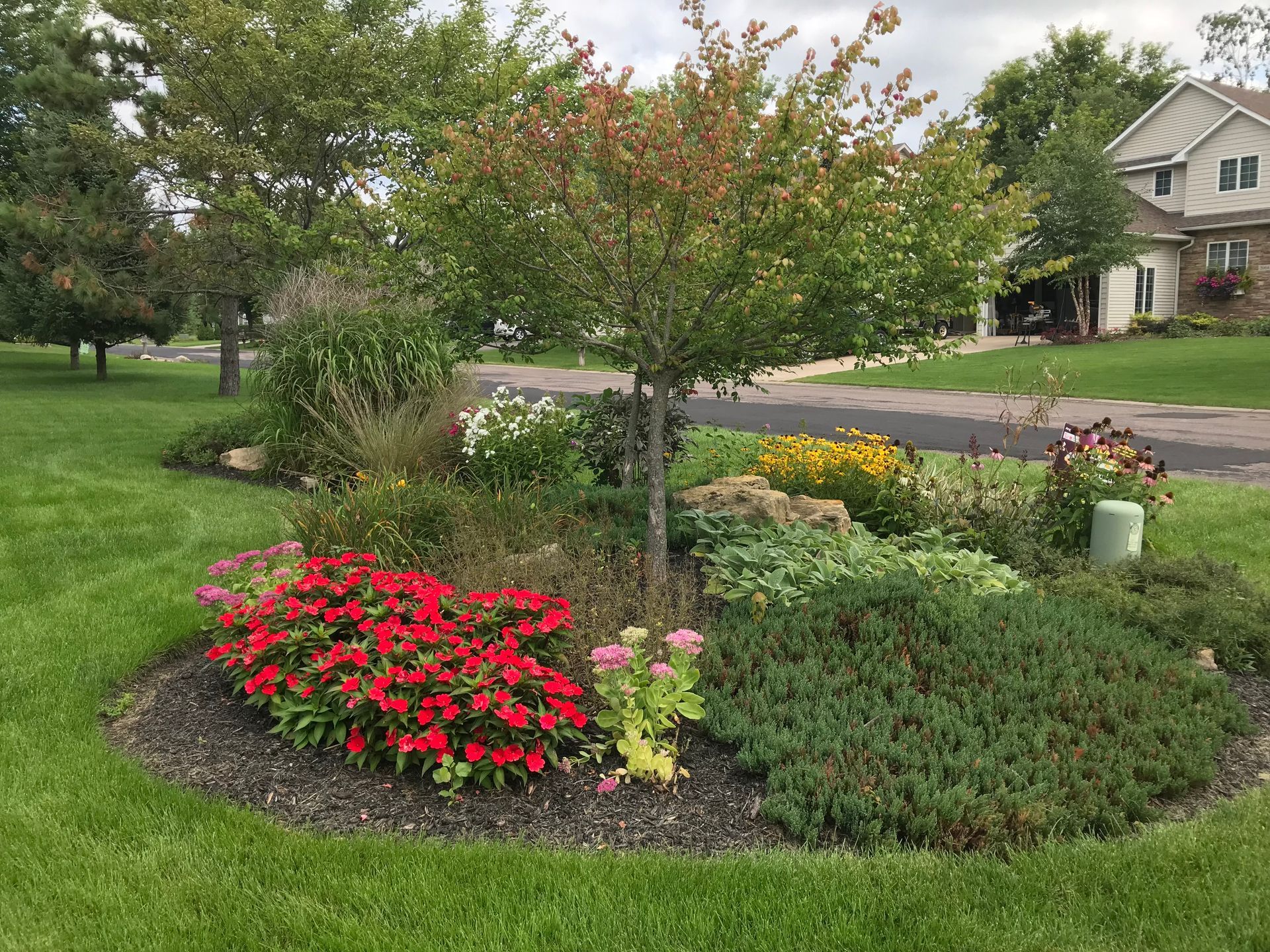 A garden with flowers and trees in front of a house.