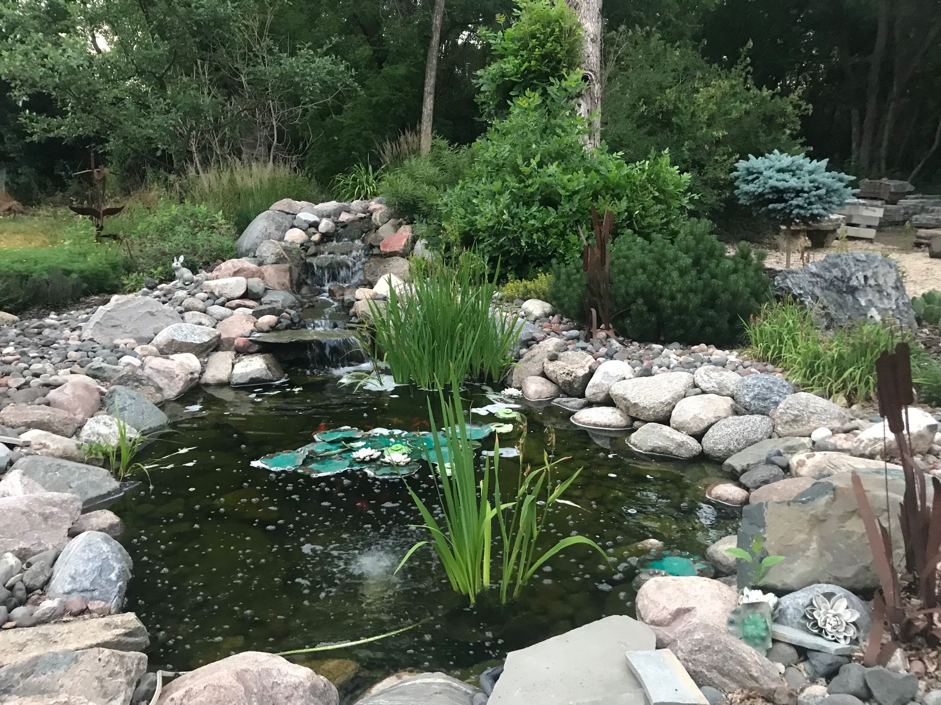 A pond surrounded by rocks and plants in a garden.